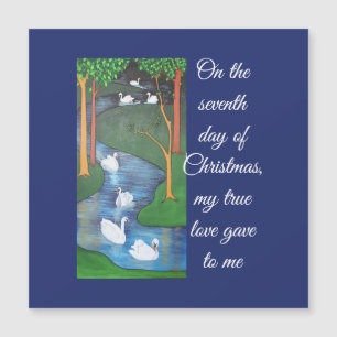 Un rebaño de siete cisnes nadando