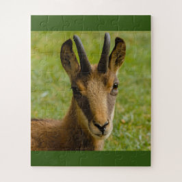 un rebeco alpino en rompecabezas