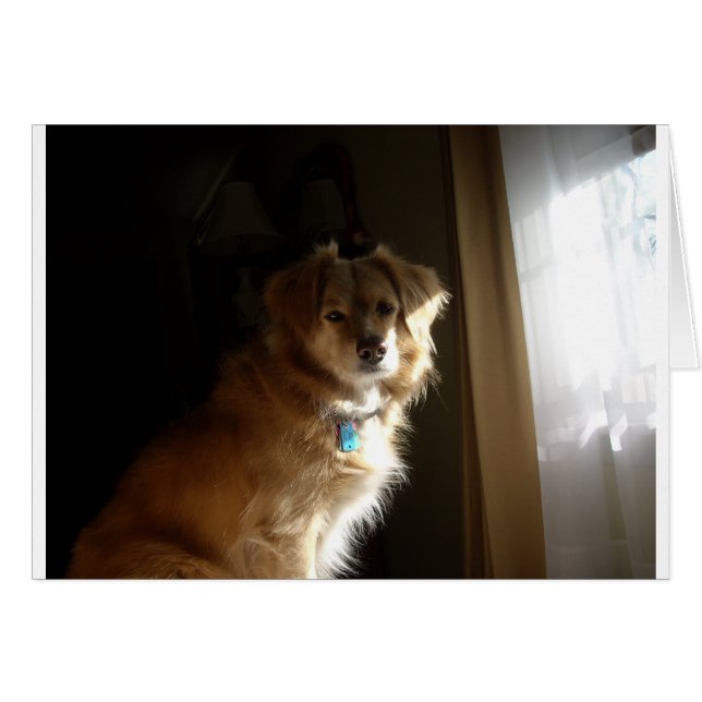 Un recuperador de comodidad (Anverso (Horizontal))