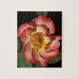 Un rompecabezas subió Betty Boop