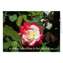 Un rosa de la isla del balboa es tan único como