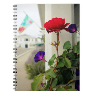 Un rosa es un cuaderno color de rosa