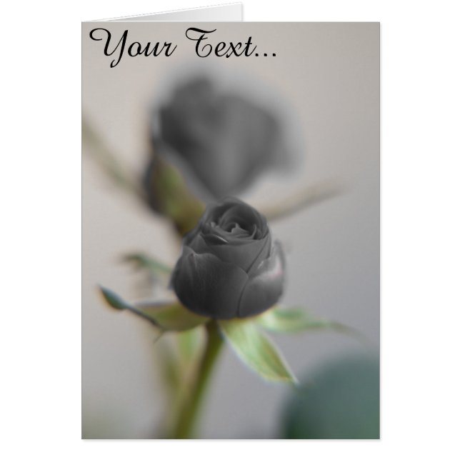 Un rosa negro (Frente)