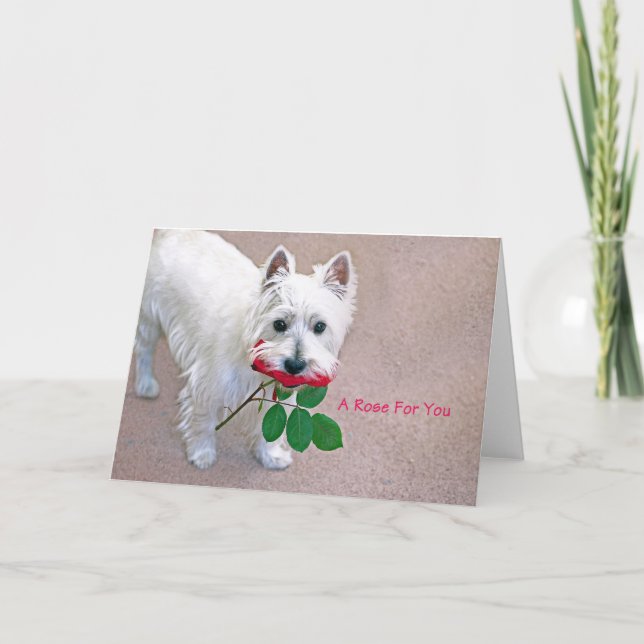 "Un Rosa para ti", todas las tarjetas de felicitac (Anverso)