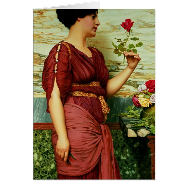 Un rosa rojo, rojo (Frente)