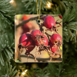 Un Rosa salvaje cuece adorno navideño