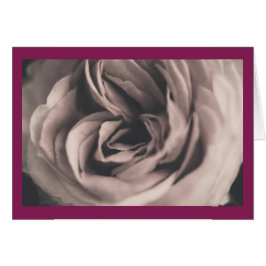 Un rosa vintage