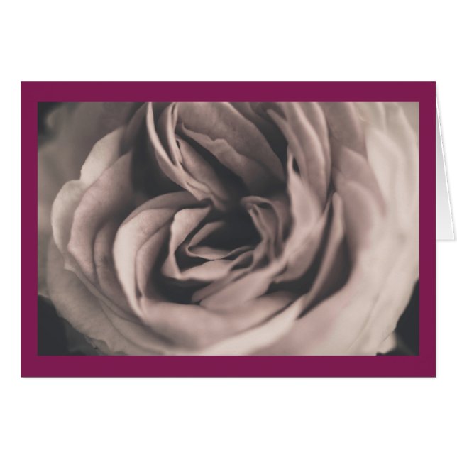 Un rosa vintage (Anverso (Horizontal))