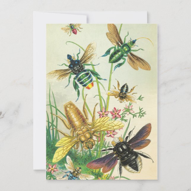 Un rumor de la invitación a la fiesta de las abeja (Anverso)