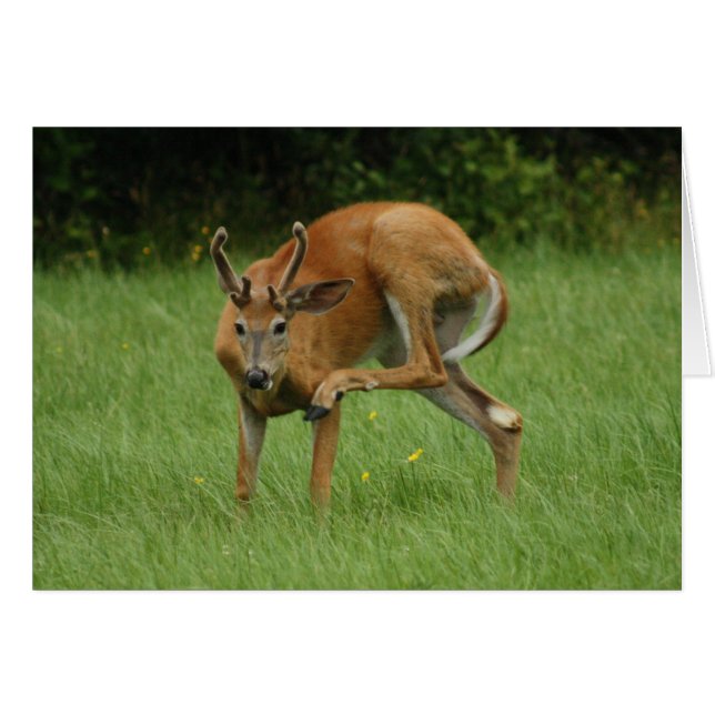 Un sabor muy querido (Anverso (Horizontal))