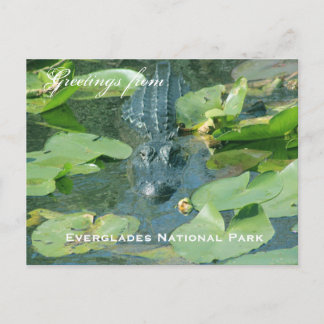Un saludo de postal del Parque Nacional Everlages