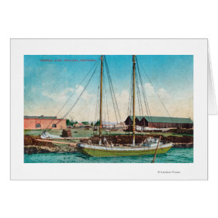 Un Schooner ScenePetaluma, CA del envío