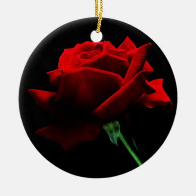 Un solo ornamento del rosa rojo (Frente)