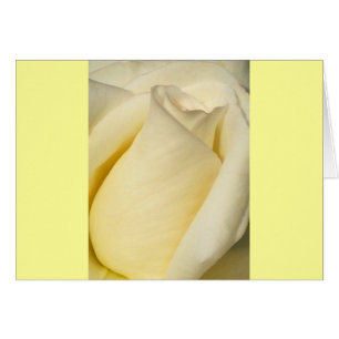 Un solo Rosa_