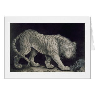 Un tigre de vagabundeo (lápiz en el papel)