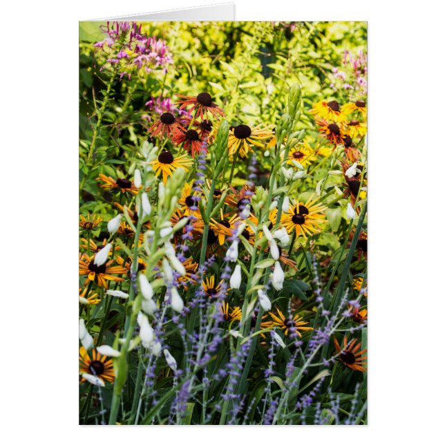 Un toque de color (Frente)