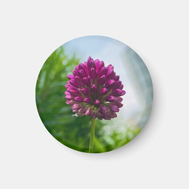 Un toque de imán Z "Floral rosa oscuro" (Frente)