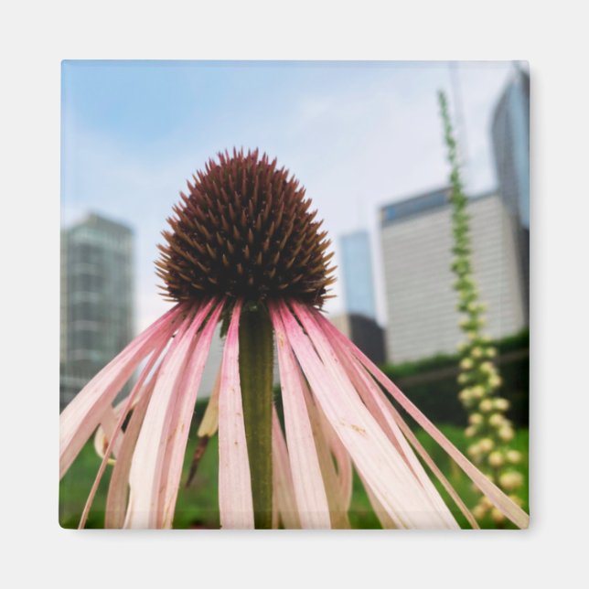 Un toque de imán Z "Floral rosa y blanca" (Frente)