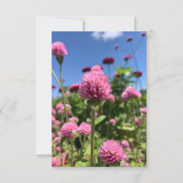 Un toque de la tarjeta Z "rosa floral" (Anverso)