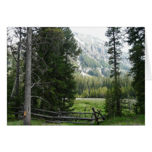 Un valle en el parque nacional de Yellowstone (Anverso (Horizontal))