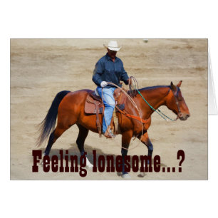 Un vaquero solitario y su caballo
