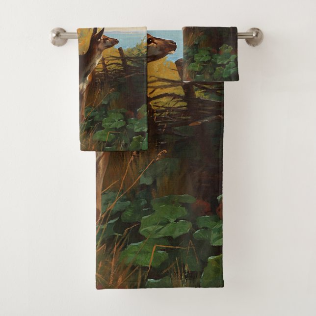 Un Venado Cuto En El Bosque (In situ)