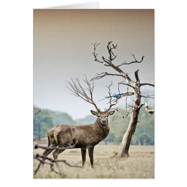 Un Venado Y Un Pájaro Azul (Frente)