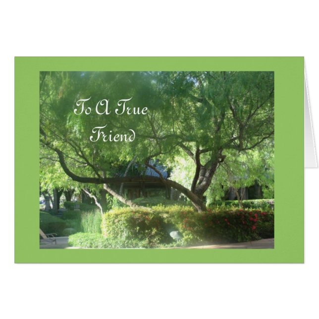 Un verdadero amigo (Anverso (Horizontal))