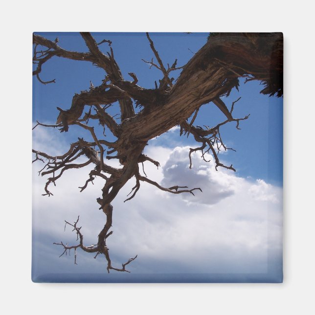 Un verdadero imán para el cambio climático (Frente)