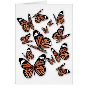 Un vuelo de mariposas