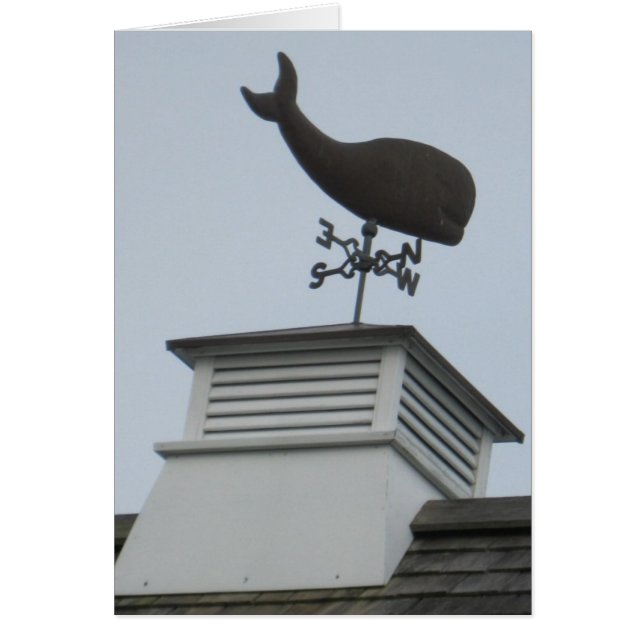 "Un Weathervane de la ballena " (Frente)