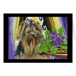 Un Yorkie nombrado Violet