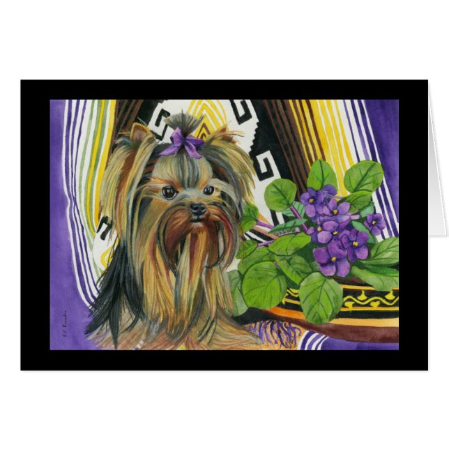 Un Yorkie nombrado Violet (Anverso (Horizontal))