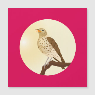 Un zorzal común se sentó en una rama