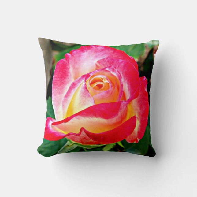 Una almohada color de rosa hermosa (Anverso)
