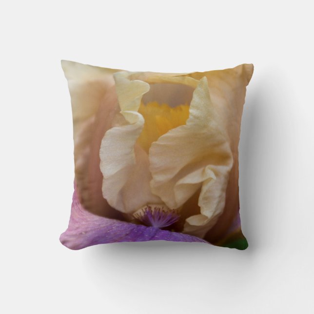 Una almohada exquisita del cierre del iris para (Anverso)