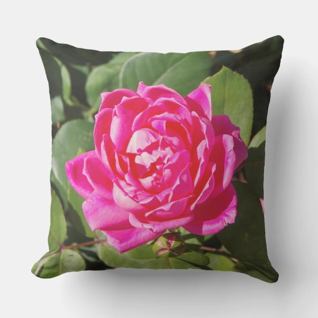 Una almohada rosa (Anverso)