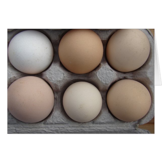 Una Amplia Variedad (Anverso (Horizontal))