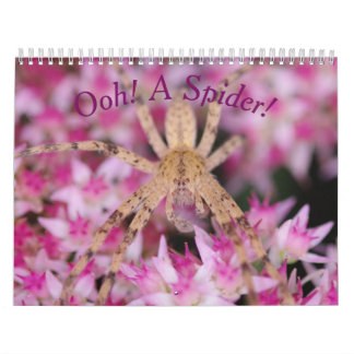 ¡Una Araña! Calendario