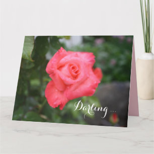 Una bella rosa rosa, una gran tarjeta de felicitac