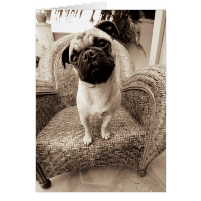 Una bomba con la cabeza titulada a un lado (Frente)