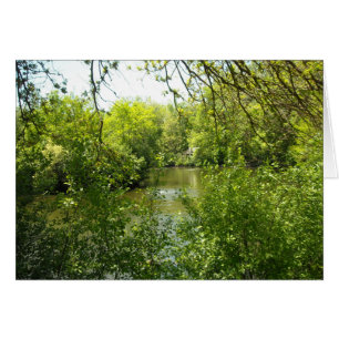 Una cabaña escondida