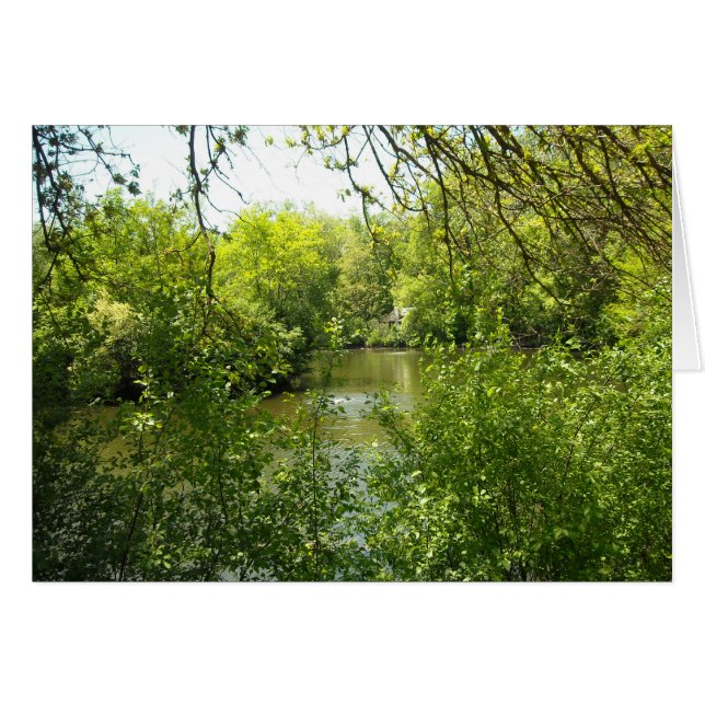 Una cabaña escondida (Anverso (Horizontal))