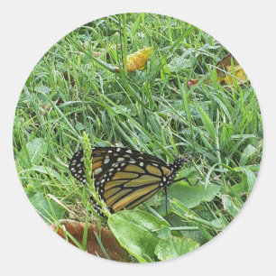 Una calcomanía de mariposa monarca