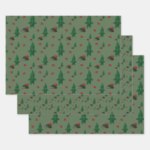 Una caminata en el conjunto de papel de Wrapping d