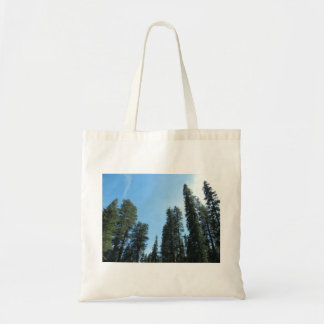 Una caminata en la bolsa de la tota de los bosques