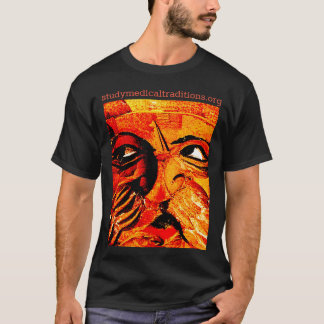Una camiseta con el logo de studymedicaltraditions