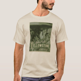 Una camiseta más baja de las caídas del parque
