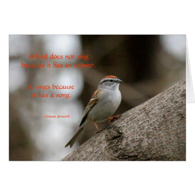 Una canción (Anverso (Horizontal))