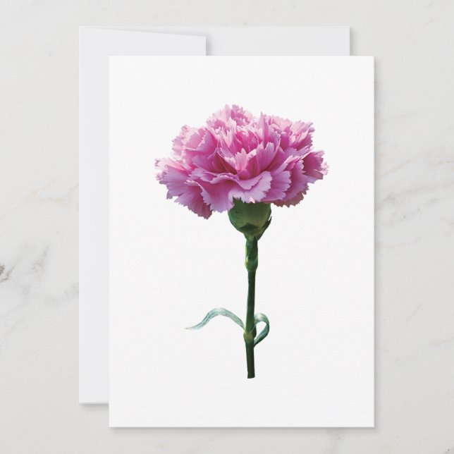 Una carnación rosada (Anverso)